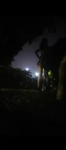 夜晚公园野战の小可爱主动翘臀求艹